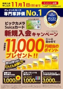 ビックカメラsuikaキャンペーン・2026
